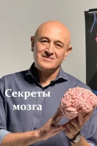 BBC: Секреты мозга (2025)